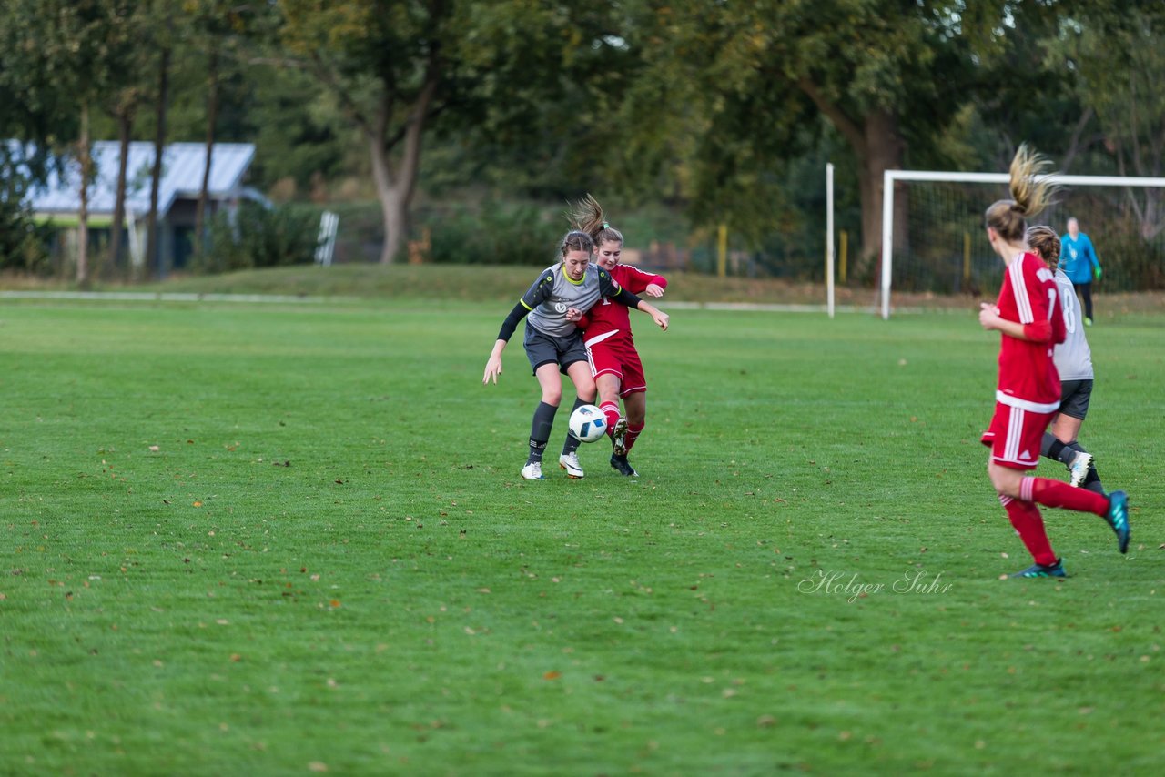 Bild 253 - Frauen SV Wahlstedt - ATSV Stockelsdorf : Ergebnis: 1:4